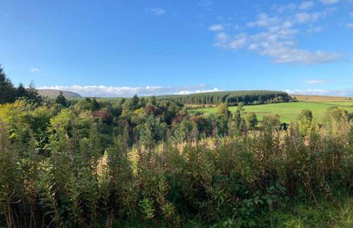 Temple-Effin Self Catering Holiday Cottage - Foto 47