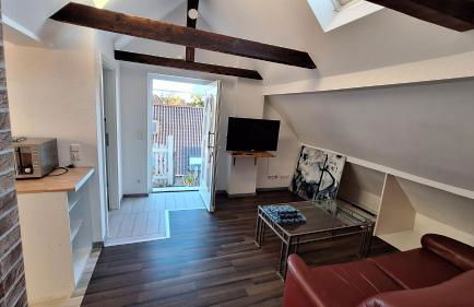 Cozy apartment with S-Bahn connection to Frankfurt - Foto 1