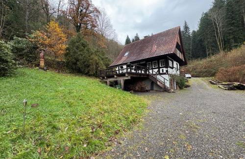 Schwarzwaldhütte am Bach mit Sauna - Foto 29