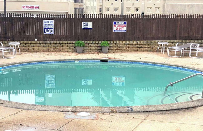 THE Crest 204 - Foto 12