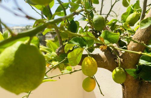 StayatSas Marbella, close to the beach, large 80 m2 terrace, large swimming pools, parking included, 10 minutes from the centre - Foto 38