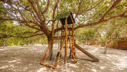 Sítio TALISMÃ - Foto 3