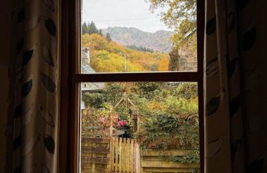 The Haven - Photo 34