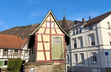 Homindays Terrace with Mountain Views River just Nearby - Foto 62