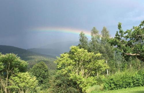 Wohnung in Neukirchen mit Skifahren & Pool - Foto 10