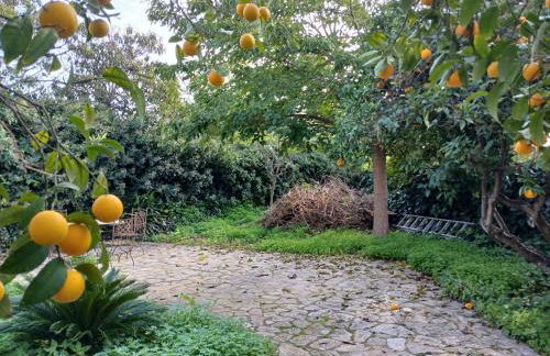 Can Vives - Photo 37