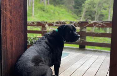 Large peaceful chalet for mountain adventures! Perfect for Flégère and Grand Montet skiing - Foto 39