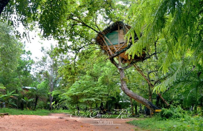 Tree house sigiri queens rest - Foto 5