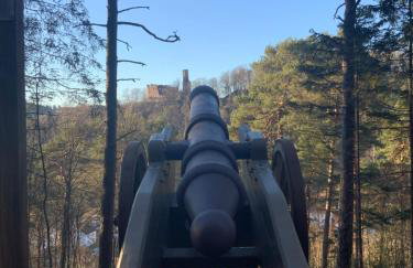 Hen-Coop Inn Appartement mit zwei Schlafzimmern & Netflix - Photo 20