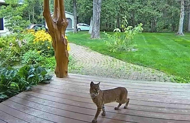 Boardman Monarch Upscale River Lodge HOT Tub! - Foto 60