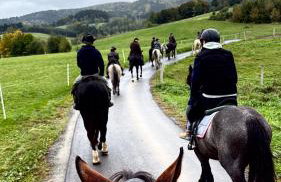 Agro Ranczo - Domek na wynajem - Foto 18