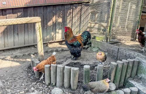 Apartment Drexler by Interhome - Foto 48