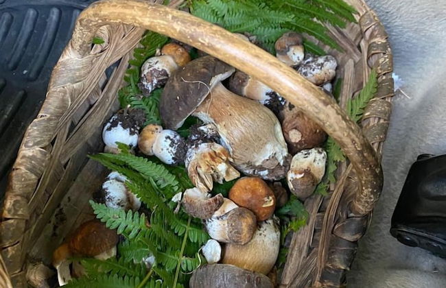 Agriturismo Monte a Pescia - Foto 74