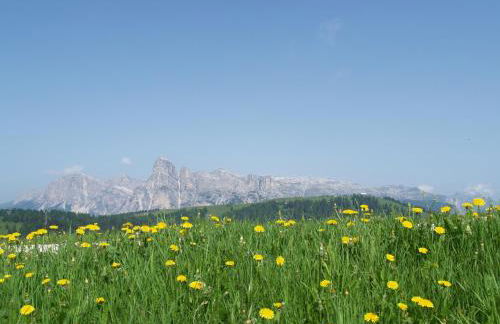 Residence Vajolet San Cassiano - Photo 42