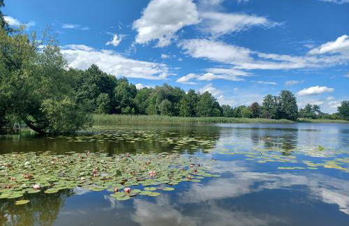 Ferienhaus am Bauernsee - Foto 11