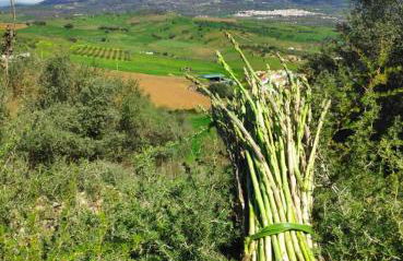 Casa rural Los Alcaidejos con piscina - Foto 22