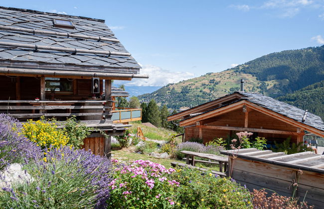 1 bedroom House in Nendaz with garden and terrace - Photo 31