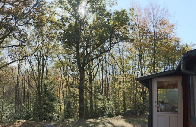 4 Person Holiday Home in Skanes-fagerhult-by Traum - Foto 25