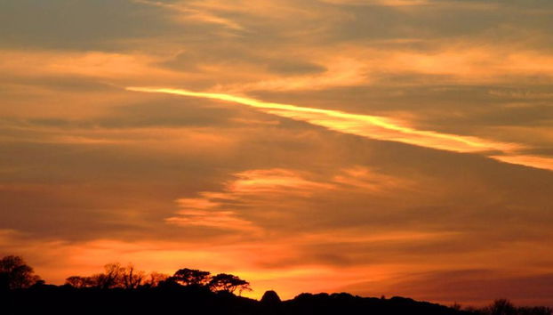 River Ouse Early Evening Cruise - Photo 2