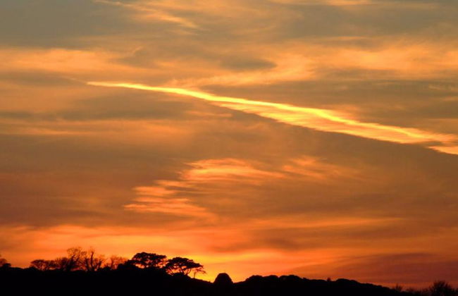 Crucero al atardecer por el río Ouse - Foto 2