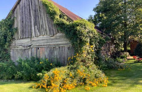 Kolonia u Jasia Rajgród - Foto 44