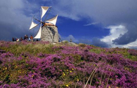 Casa de Campo Sossego da Lata - Foto 70