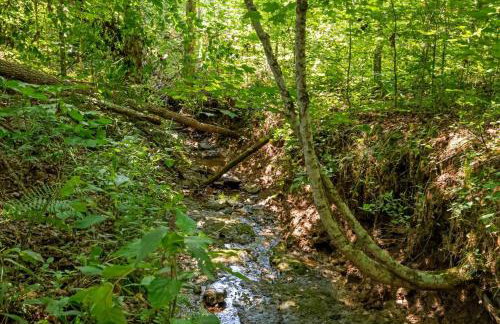 The Heartwood Hideaway-Charming Cabin Getaway-Trails, Creek, and Starry Nights - Foto 9