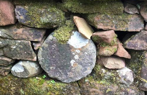 Boggle Dyke Cottage - Foto 9