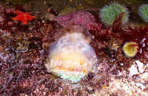 Driftwood Lodge~5 BR/7 Bath~30-acre Private Estate - Foto 27