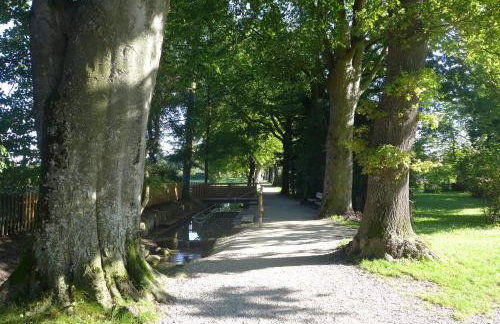 Ferienwohnung Hein - Foto 14