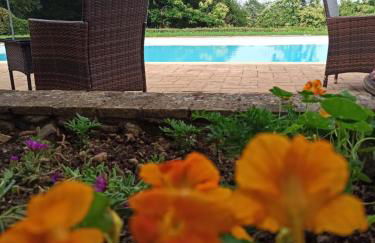 Castellare - Foto 62