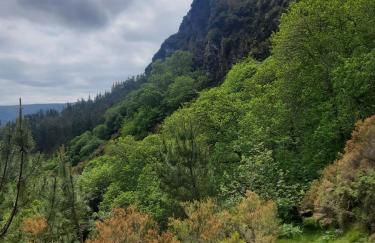 Ahío San Martín, Apartamentos Rurales Casa de la Villa - Foto 13