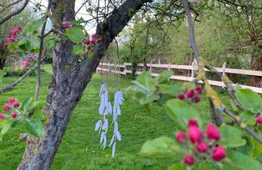 Historisches Bauernhaus für 8 Personen mit Luxus und Natur auf 2 Etagen ideal für Familien und Hunde 2500m2 eingezäunt an der Ostsee - Foto 45