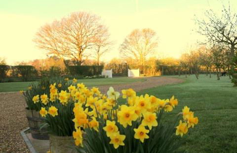 Pheasant Suites - Foto 29