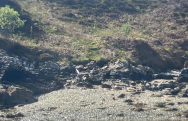 Ardmair Bay House - Foto 19