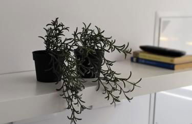 AM Chinorros Square. - Photo 18