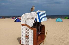 Kornkammer - Foto 19