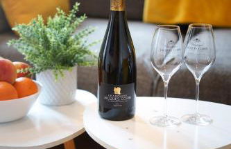 Épernay Prestige, Appartement avec terrasse - Foto 17