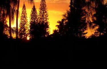 Turtle Bay Perfect Family Destination near beach - Foto 42