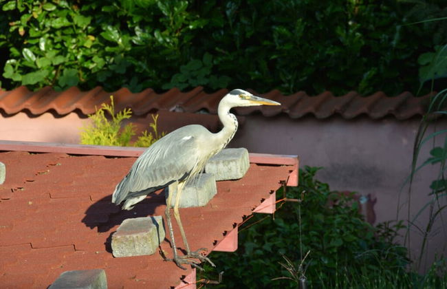Unexpected-bochum Comfortable Vacation Home - Foto 23