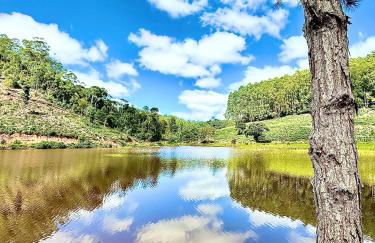 Sítio Koi - Photo 35