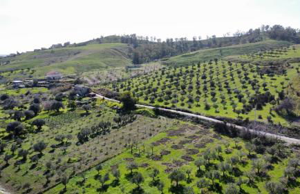 Villa Ulivo a 900 metri dal Mare - Foto 24