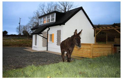 Killeavy Cottage - Foto 21