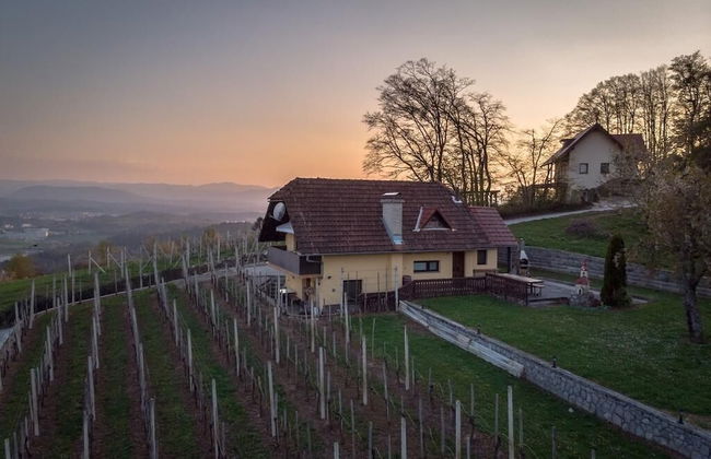 Vineyard Cottage Hocevar - Foto 23