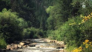 Create Lasting Memories: Family-Friendly Rustic Cabin in New Mexico's Backcountry - Foto 5