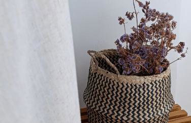 Plakourakia - Photo 58