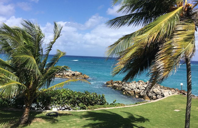 Sea Palms Holidays - Foto 19