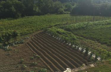 Agriturismo La Ferriera - Foto 22