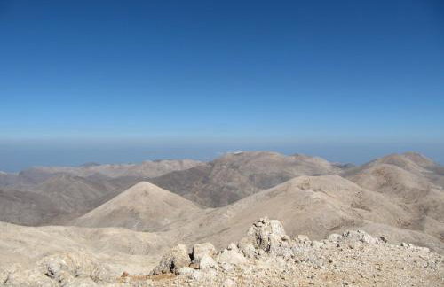 Studios Fokies - Photo 28