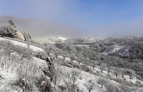 1 Bedroom Gorgeous Home In Vlaskovec - Foto 7